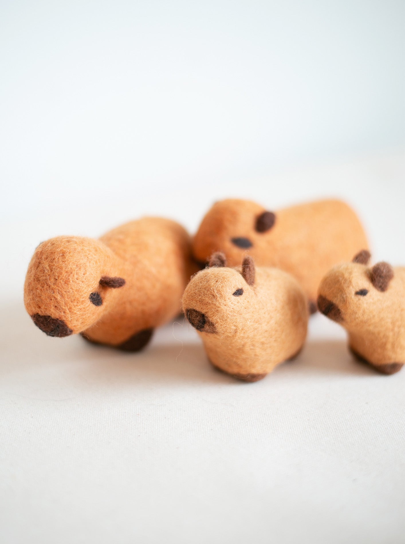Capybara Wool Dog Toy