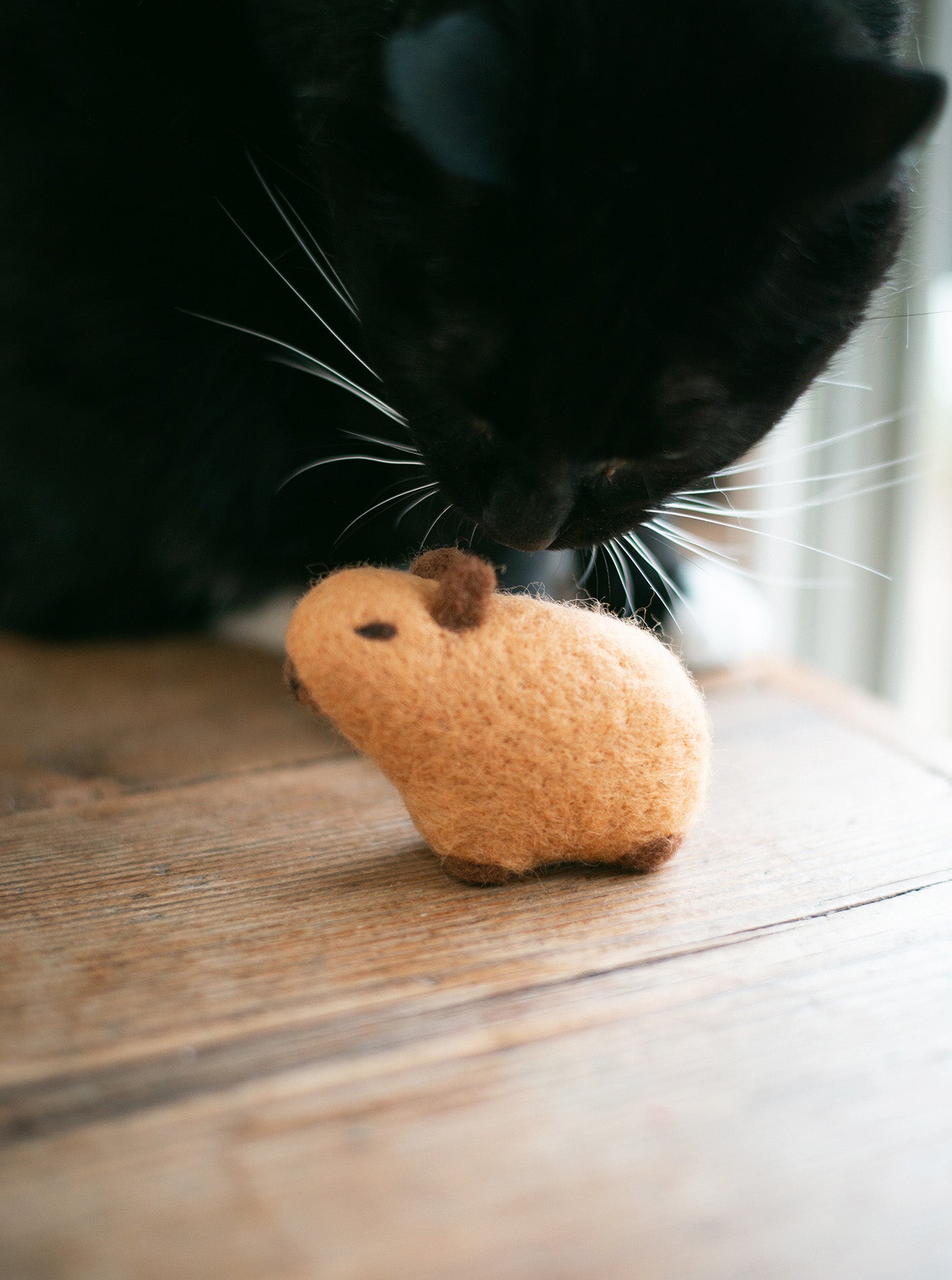 Capybara Wool Dog Toy