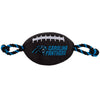 Carolina Panthers Nylon Football