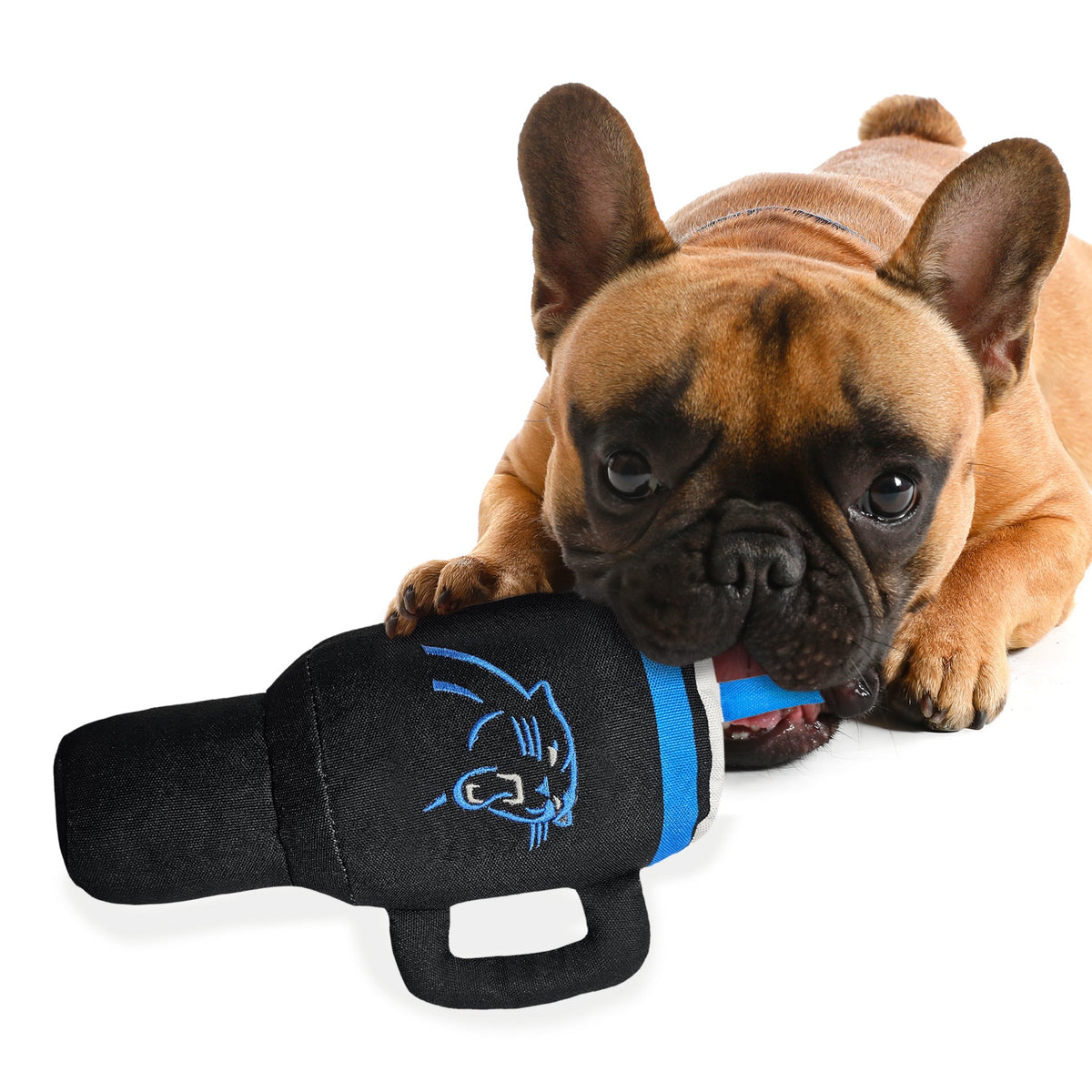 NFL Carolina Panthers Nylon Tumbler Dog Toy