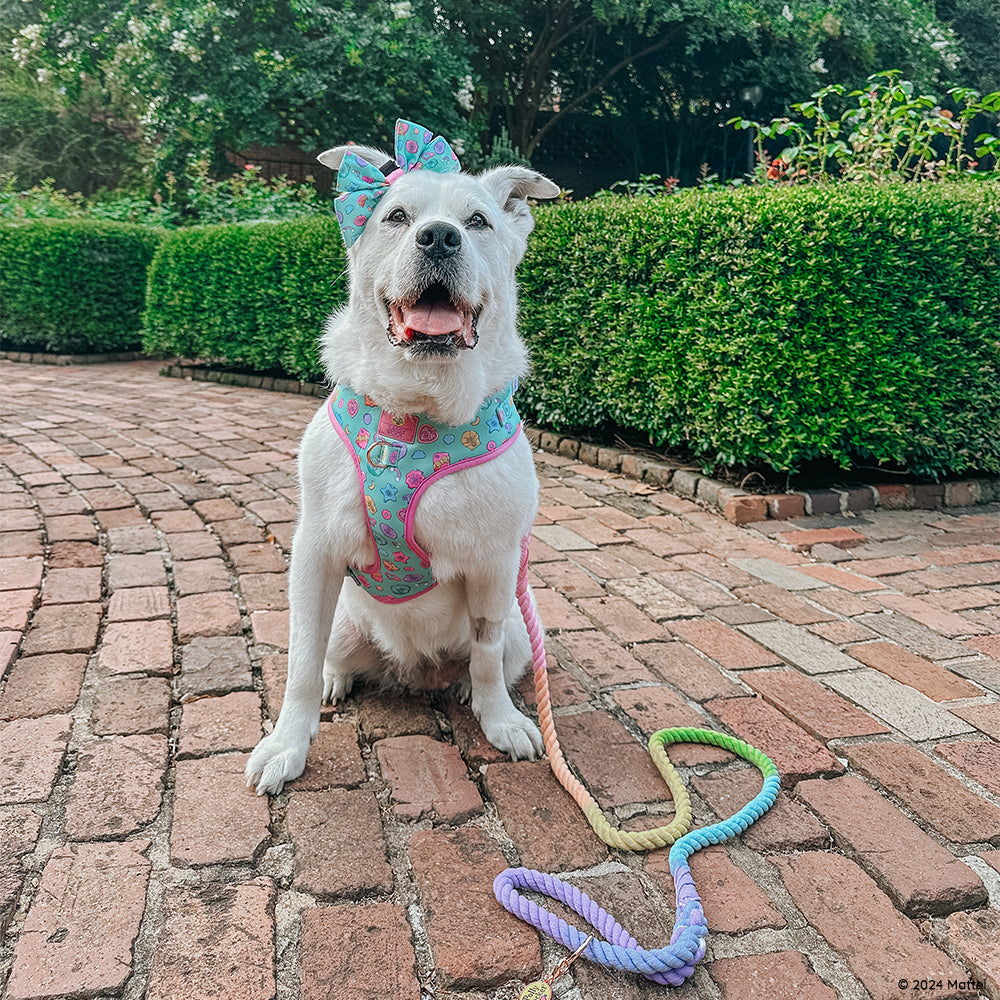 Dog Rope Leash - Polly Pocket™