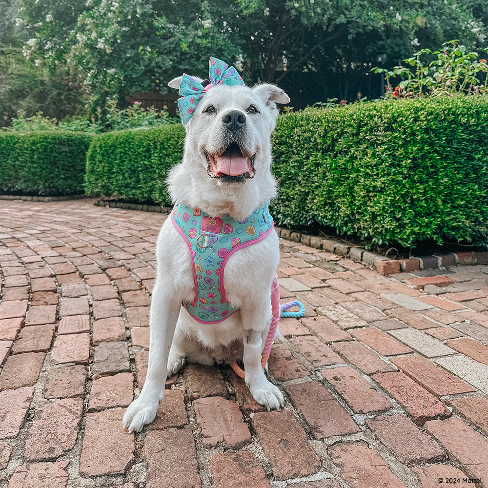 Dog Adjustable Harness - Polly Pocket™