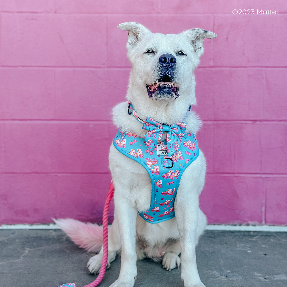 Dog Adjustable Harness - BARBIE™ On a Roll