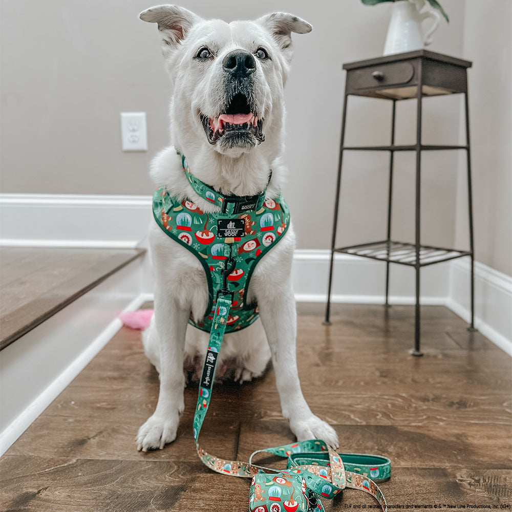 Dog Adjustable Harness - Elf™