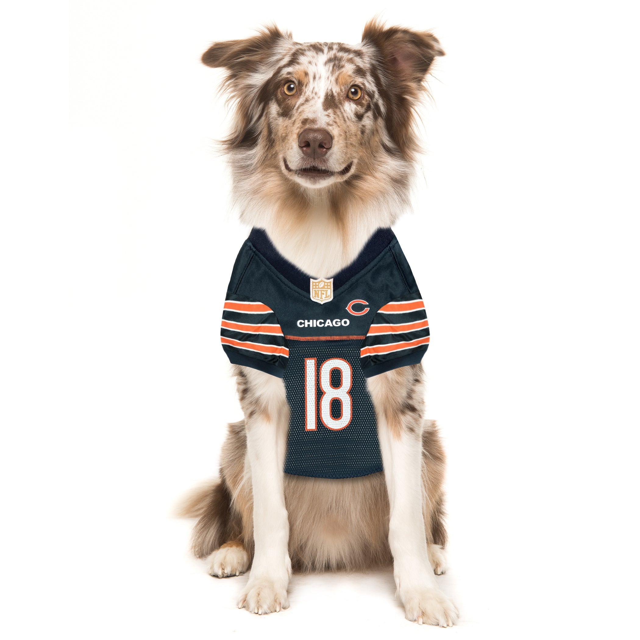 Caleb Williams Pet Striped Jersey (CHI)