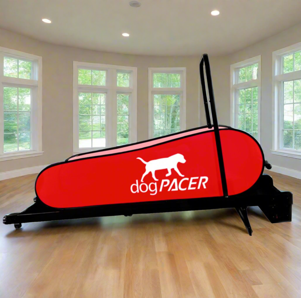 dogPACER LF 3.1
