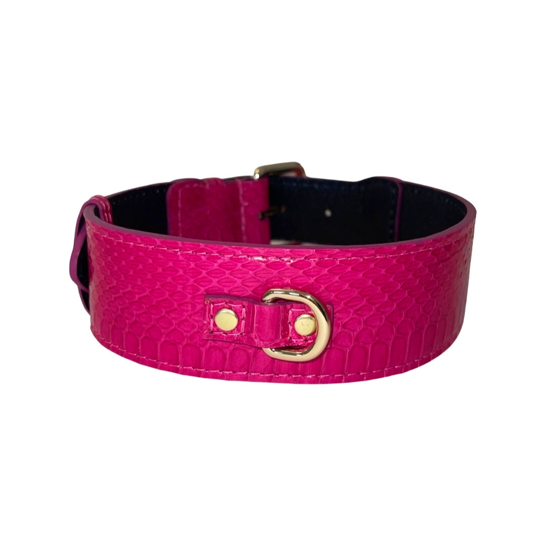 Allysa Payne Fuchsia Snake Classic Dog Collar