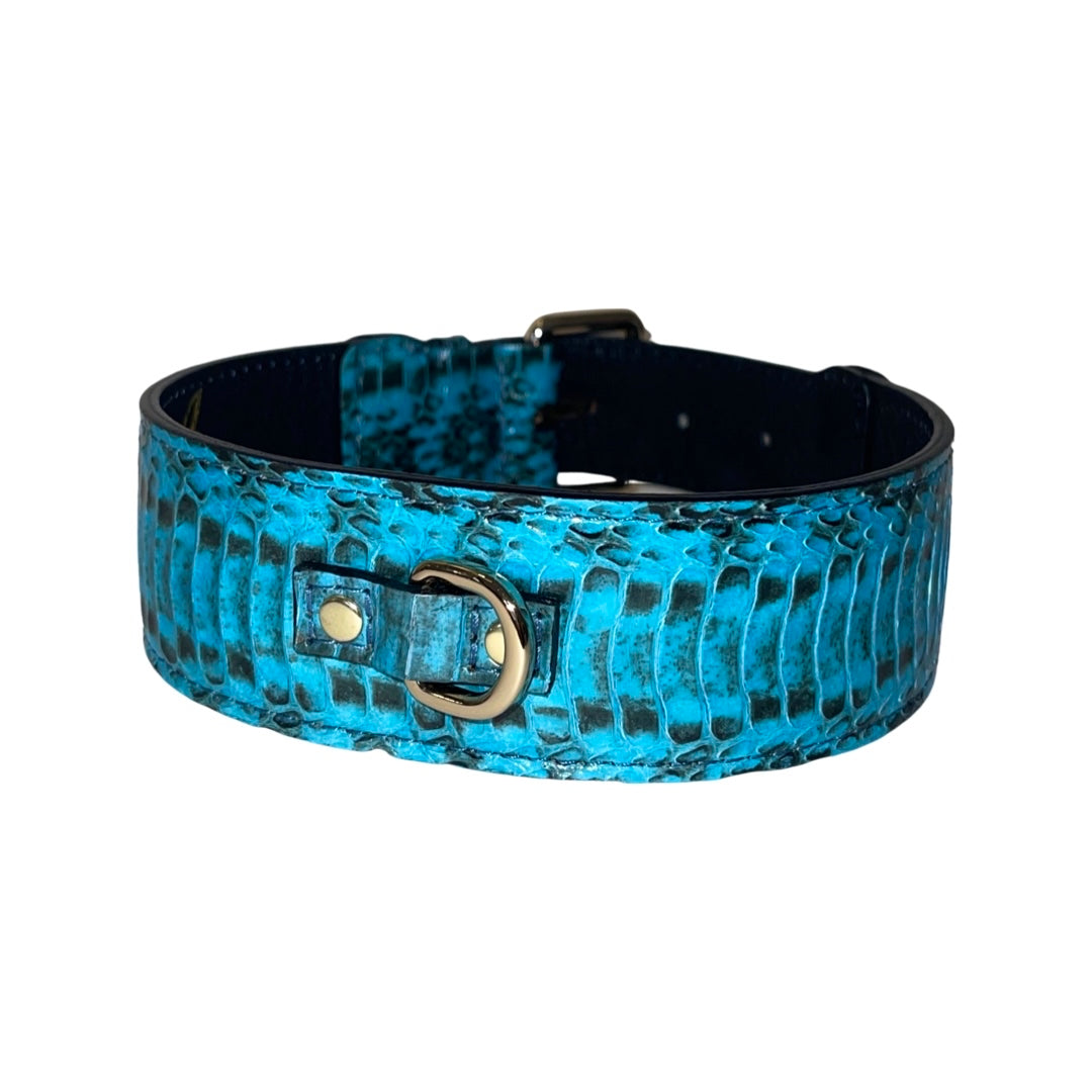 Allysa Payne Turquoise & Black Classic Snake Dog Collar With Gold Hardware