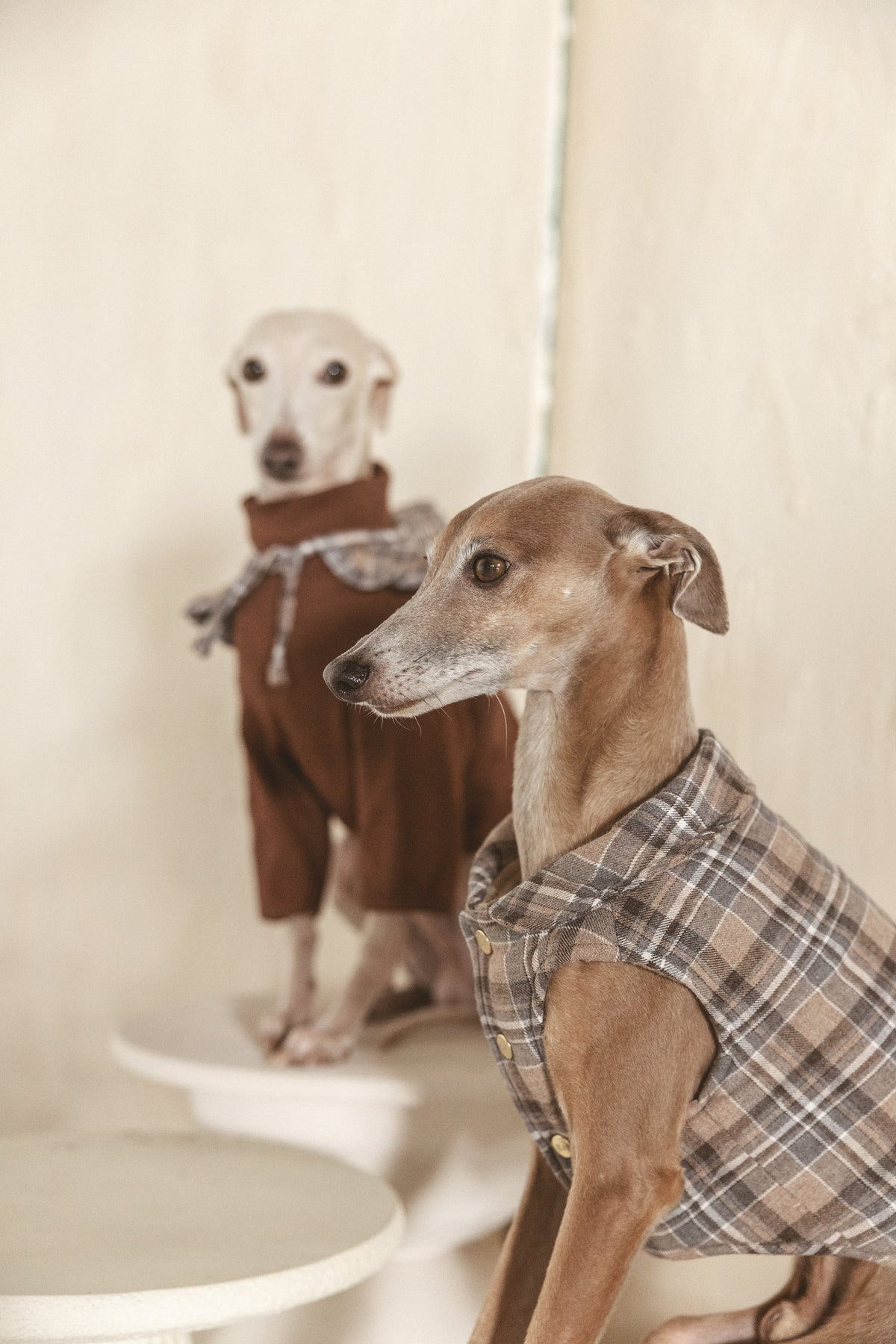 Roux Vest