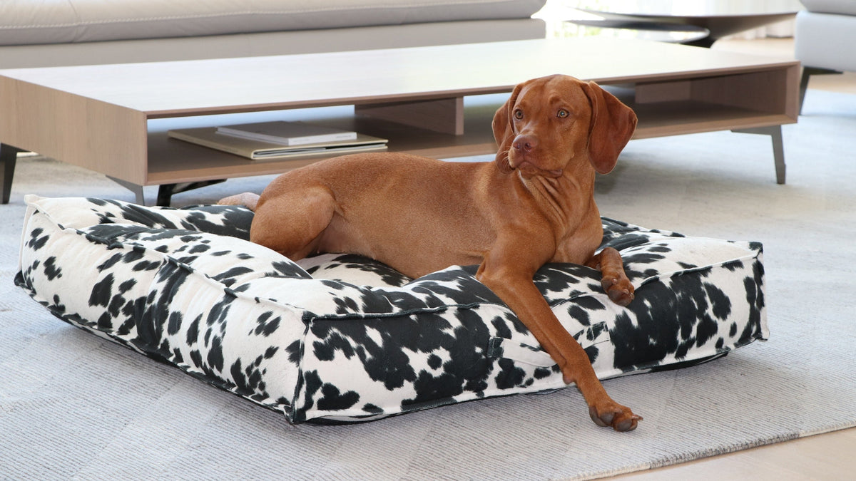 Bowsers Piazza Round Bolster Dog Bed - 360-Degree Head and Neck Support