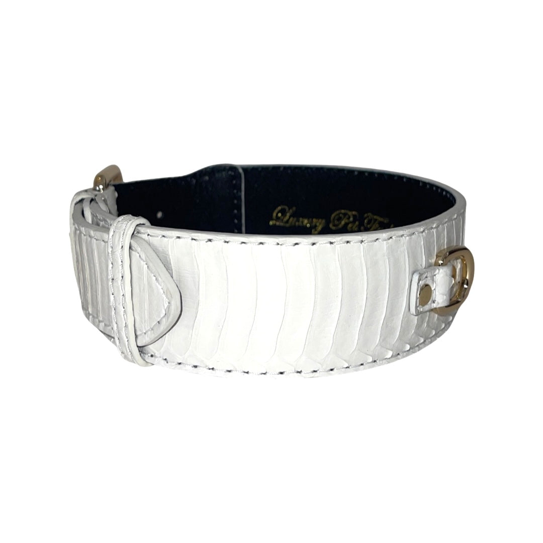 Allysa Payne Matte white Snake With Gold Classic Hardware
