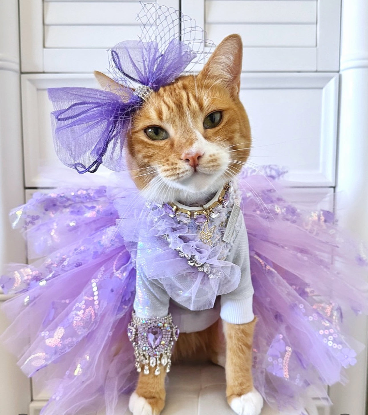 Formal Affair: Shades of Lavender