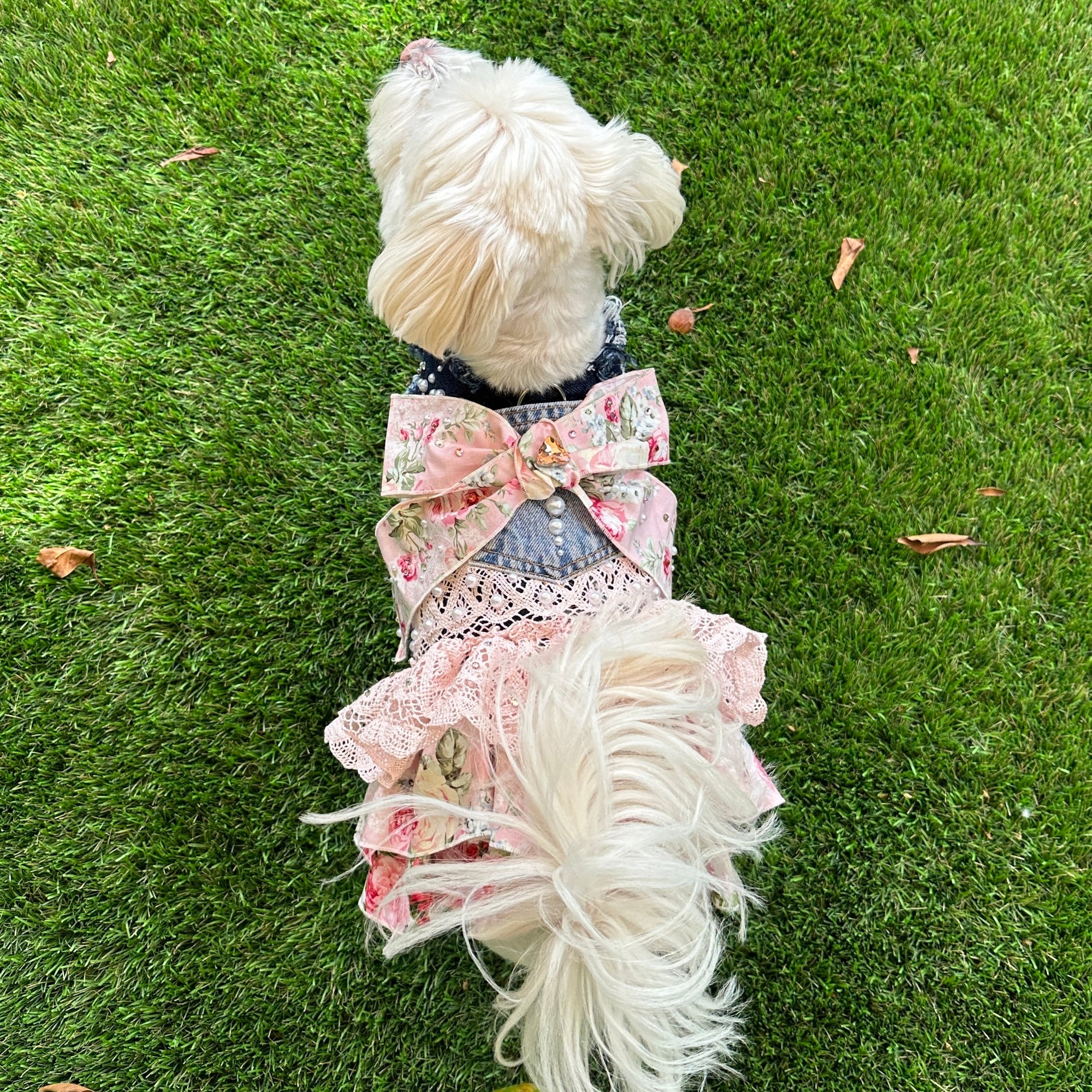 Heads or Tails Pup LovePackPuppy Denim Dog Dress