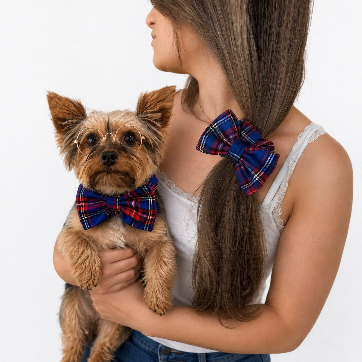 Heads or Tails Pup Bunchie Bow Scrunchie Dog Collar