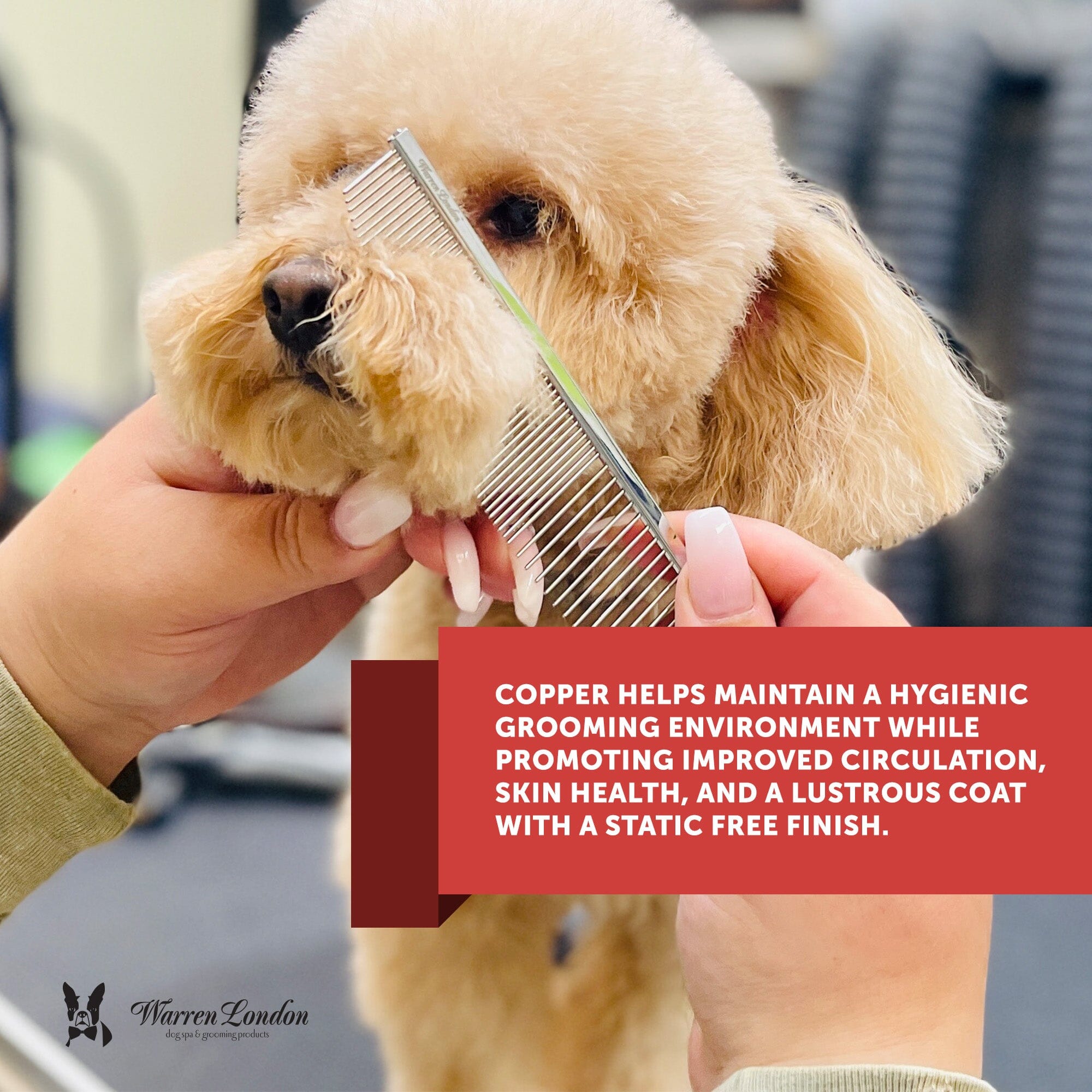 Crescent Detail Comb