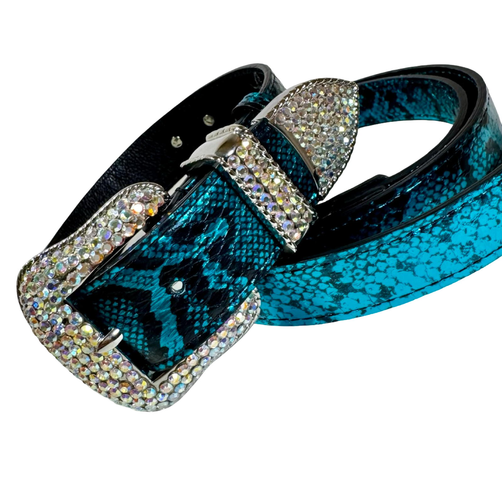 Allysa Payne Blue & Black Serpente Set Dog Collar