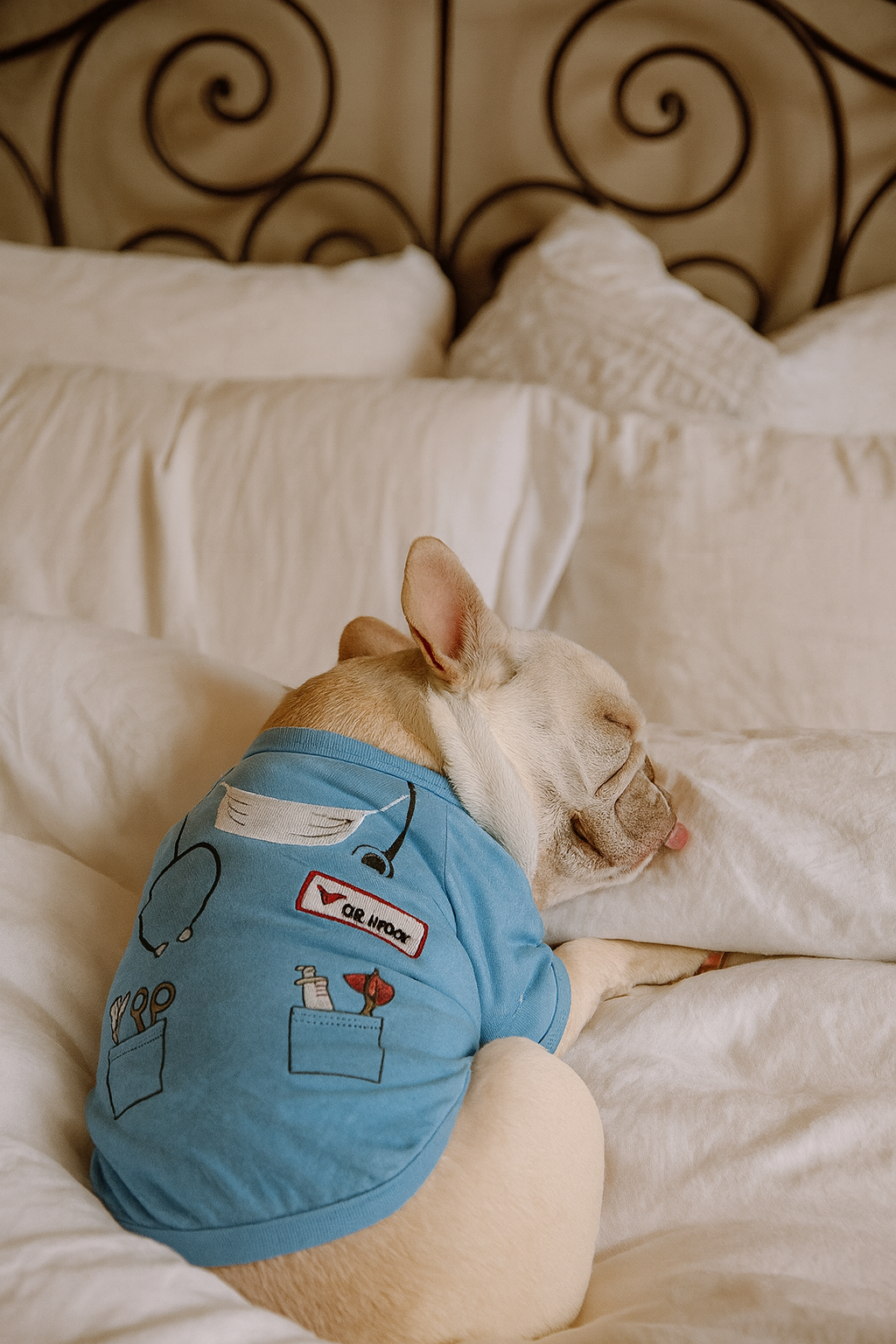 Parisian Pet Dr. Woof Halloween Costume-Light Blue