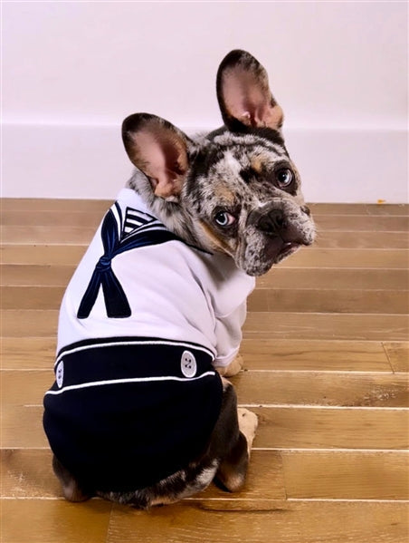 Parisian Pet Sailor Dog Halloween Costume