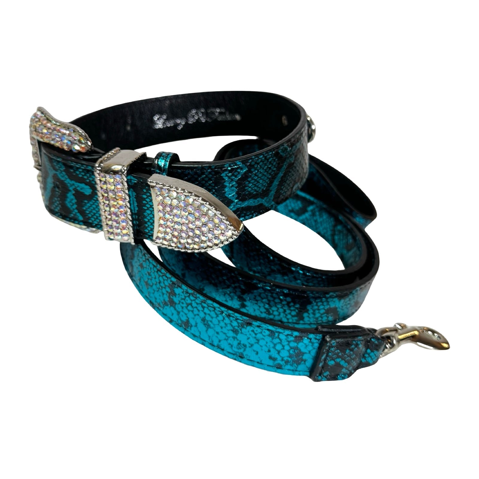 Allysa Payne Blue & Black Serpente Set Dog Collar