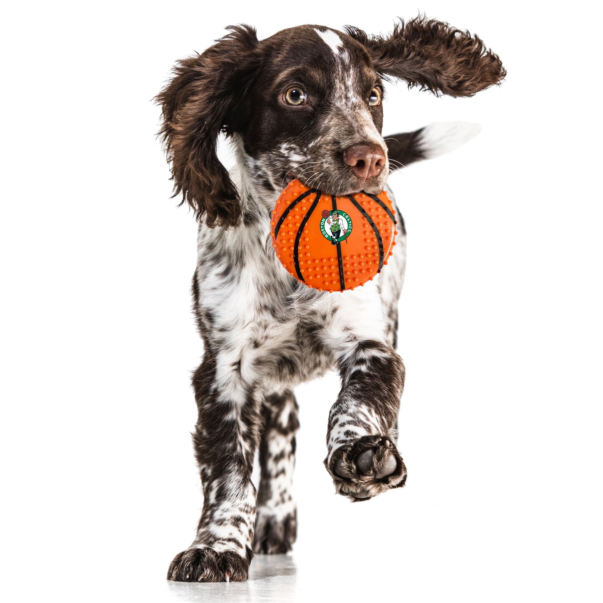 BOSTON CELTICS HARD NYLON BASKETBALL CHEW TOY