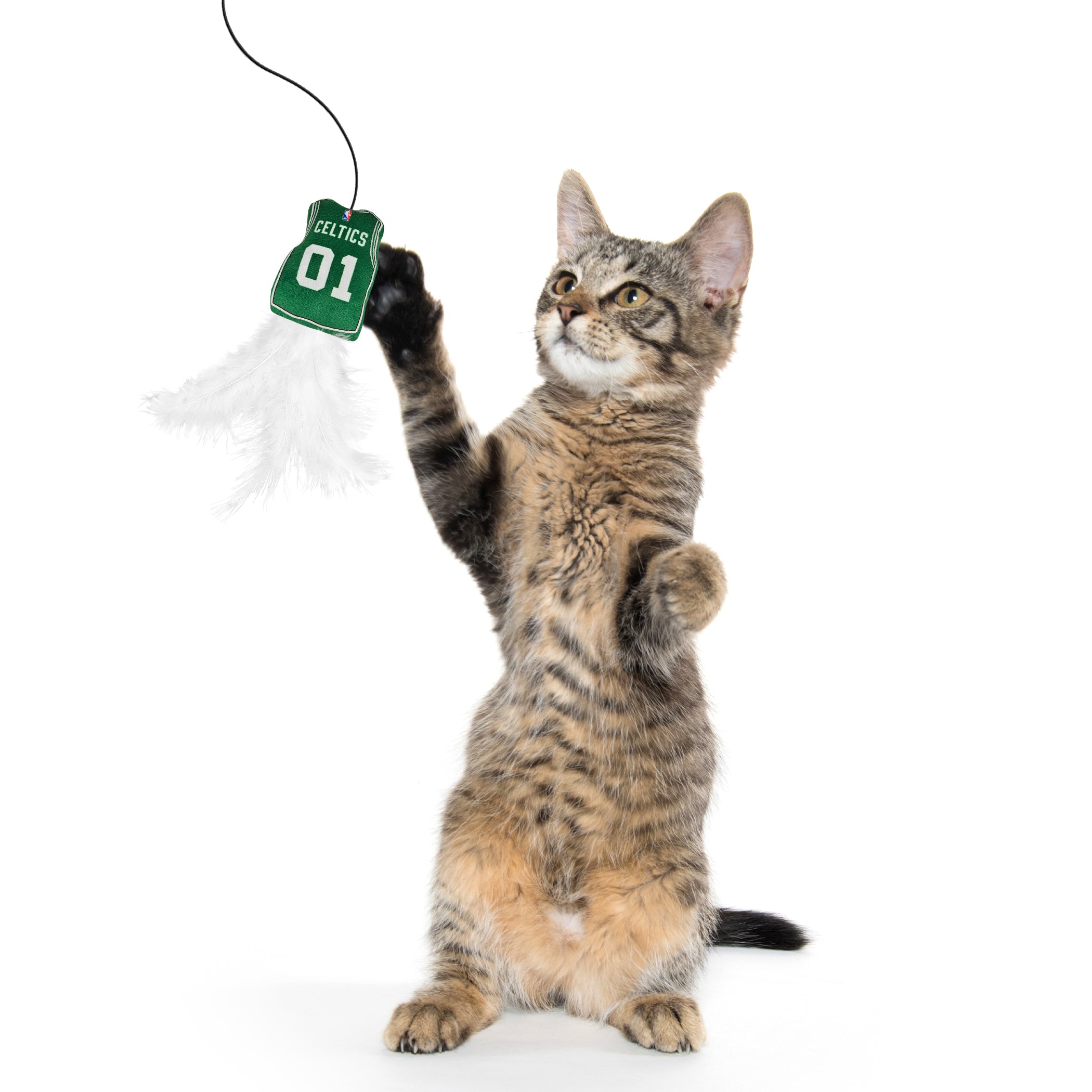 BOSTON CELTICS TEAM JERSEY WAND WITH CAT NIP