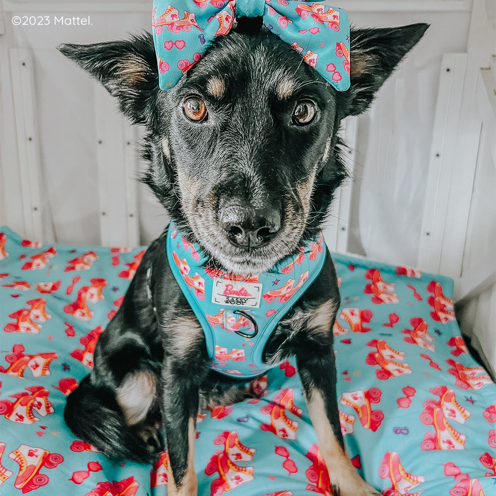 Dog Adjustable Harness - BARBIE™ On a Roll