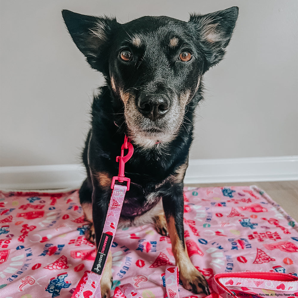 Dog Collar - Mean Girls™