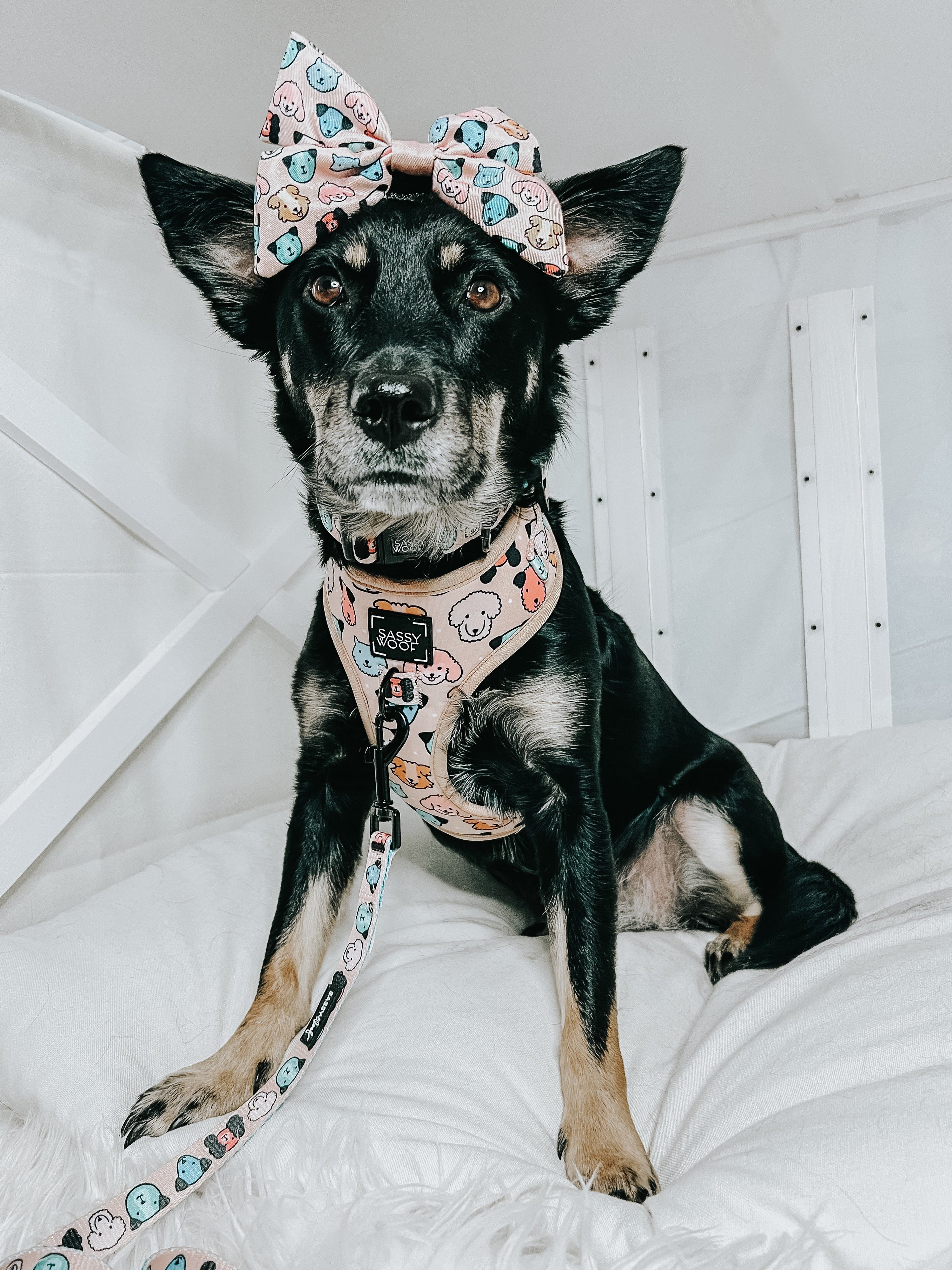 Dog Adjustable Harness - Mixed With Love