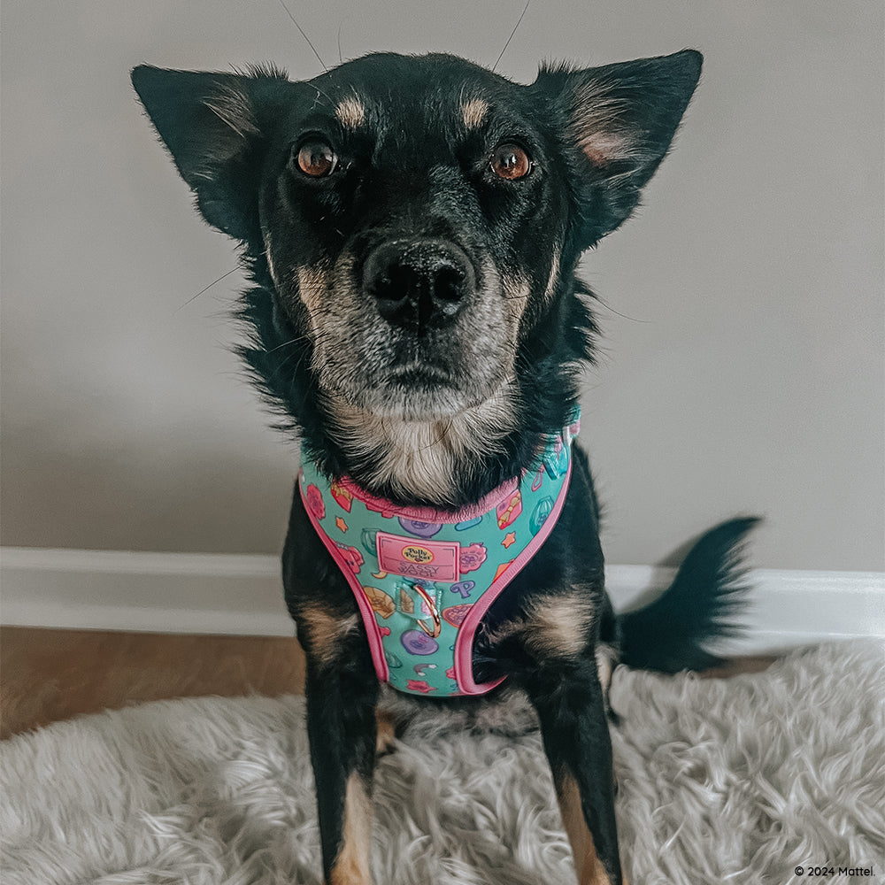 Dog Adjustable Harness - Polly Pocket™