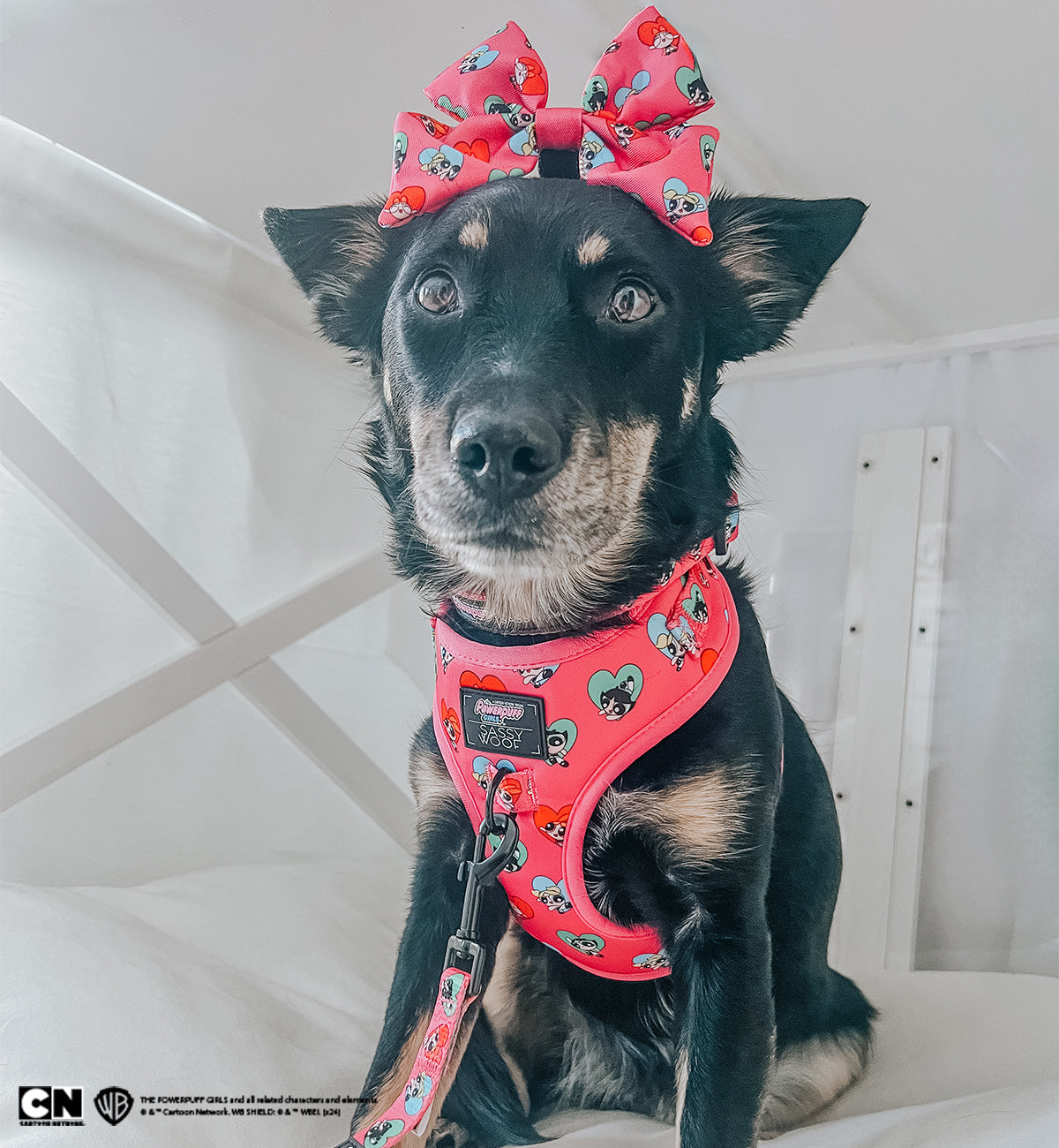 Dog Adjustable Harness - The Powerpuff Girls™ (Love)