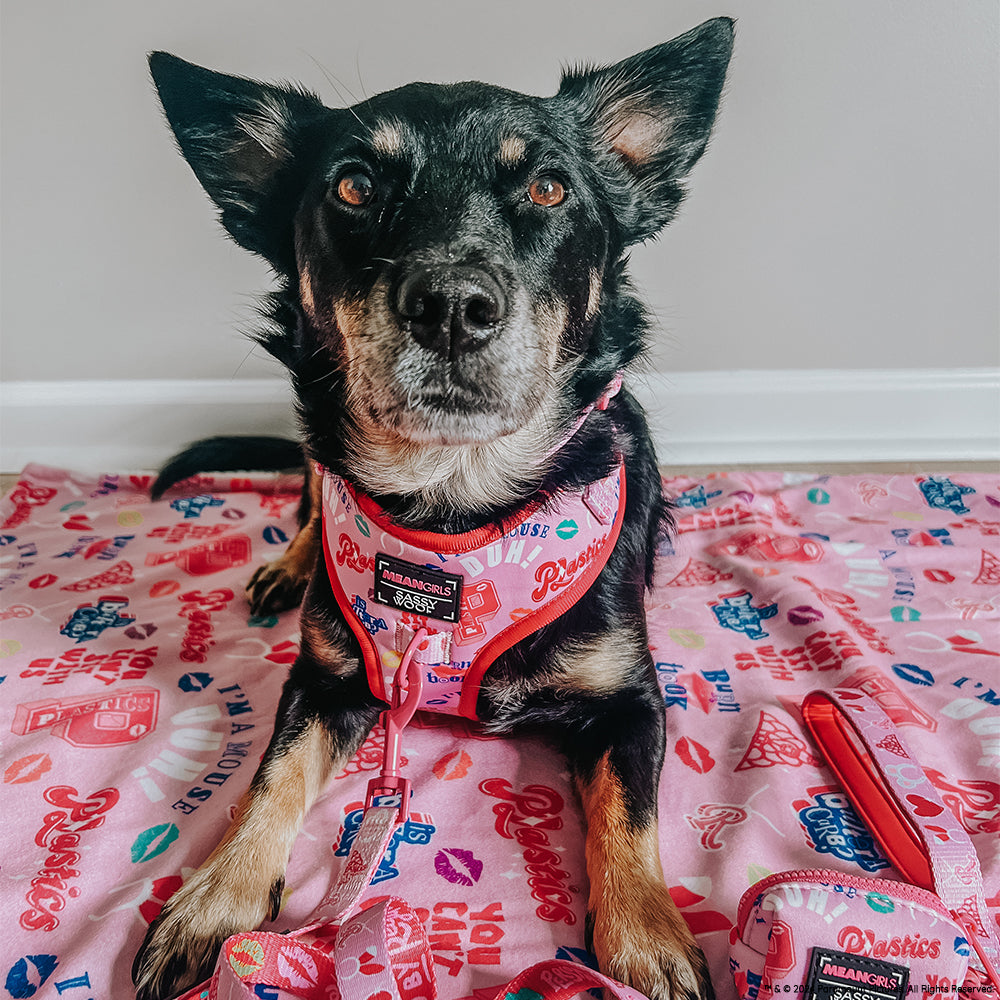 Dog Adjustable Harness - Mean Girls™