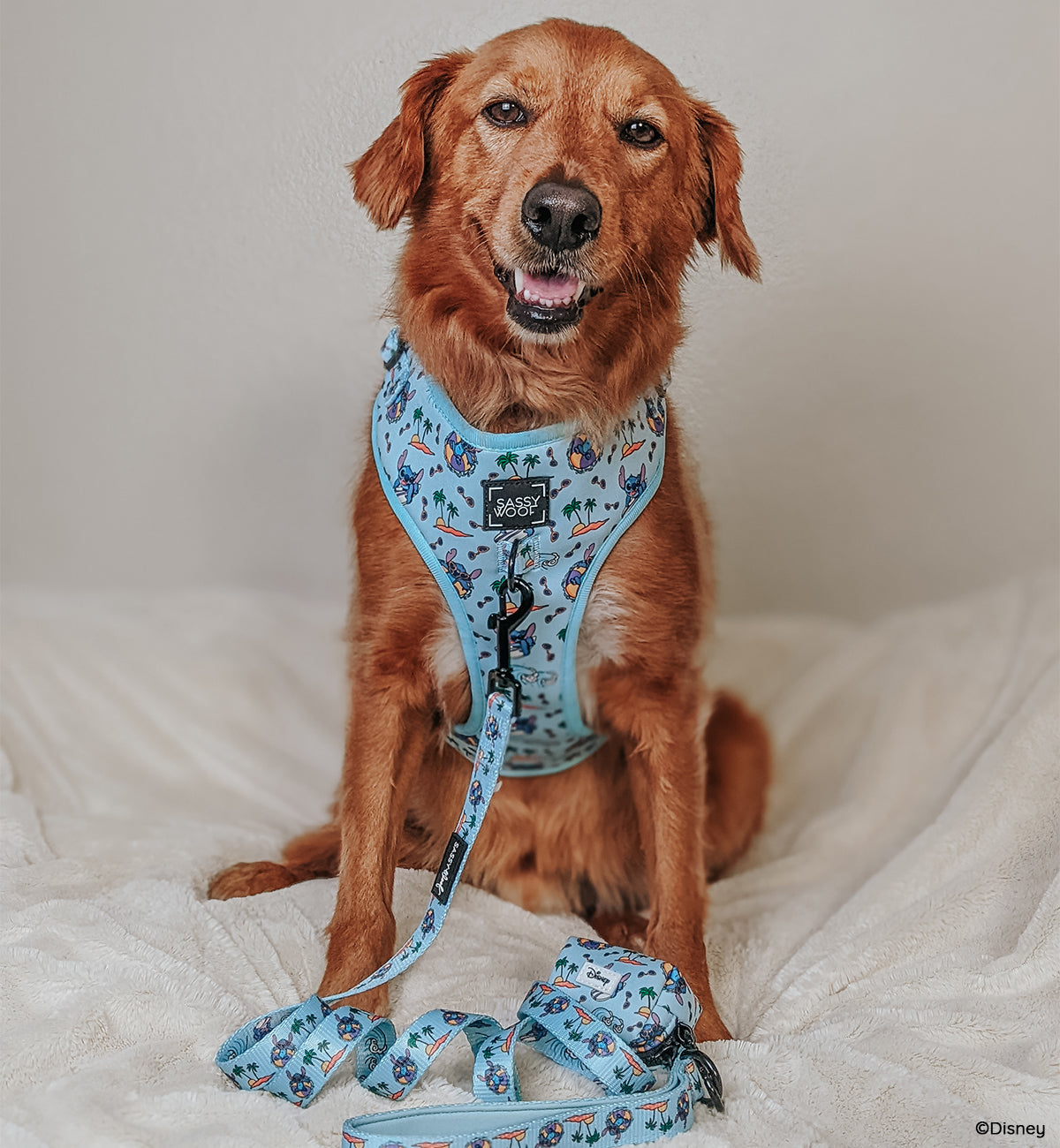 Dog Leash - Disneys Stitch