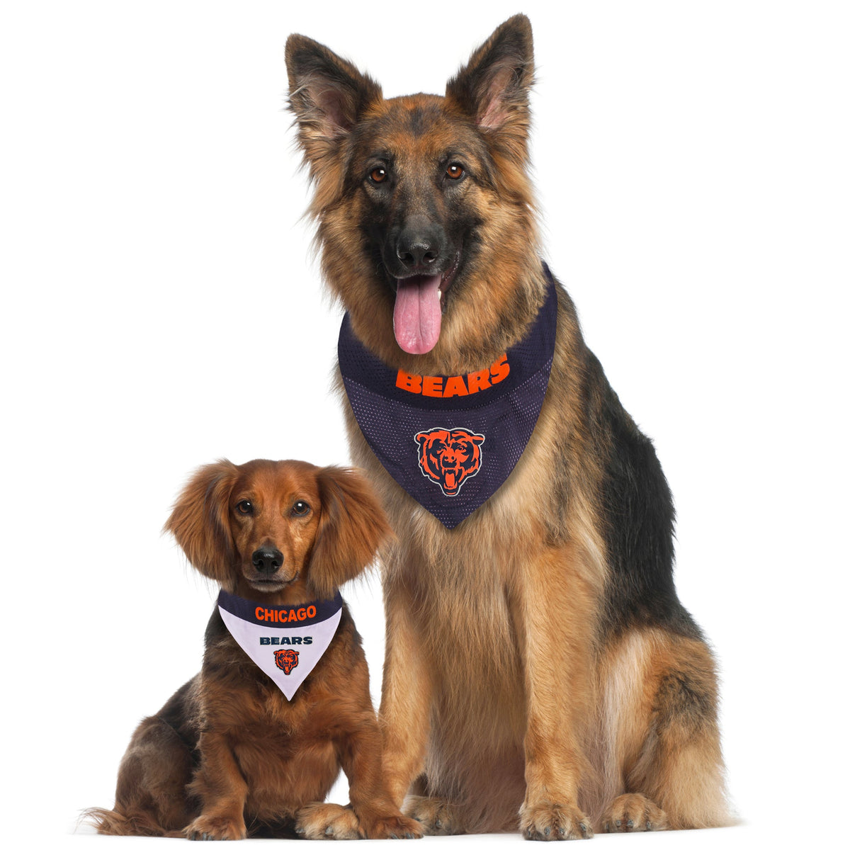 NFL Chicago Bears Reversible Dog Bandana — product image 3