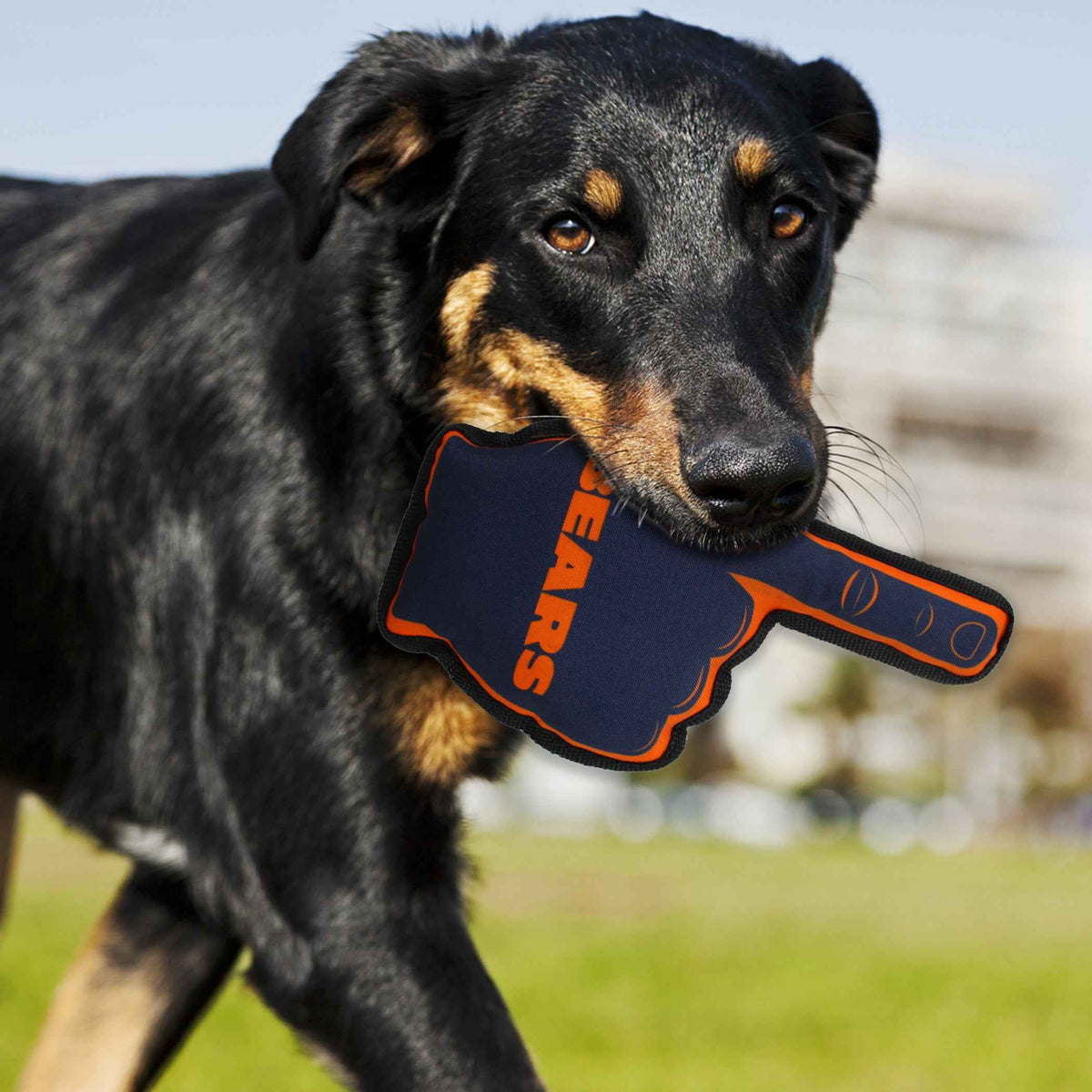 Chicago Bears #1 Fan Toy