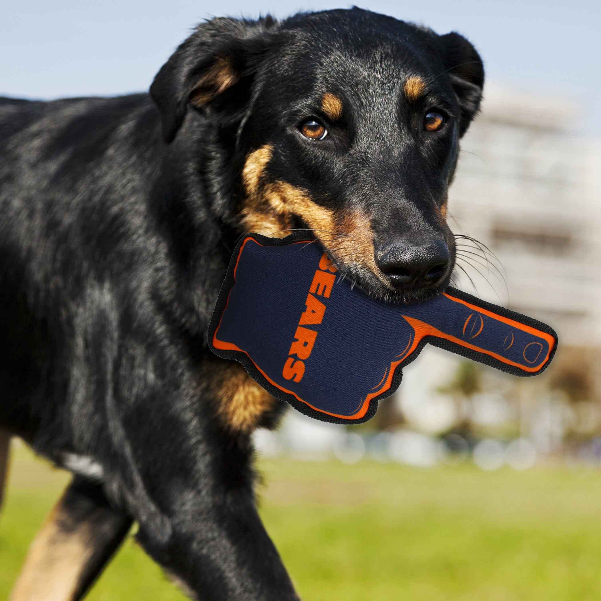 Chicago Bears #1 Fan Toy