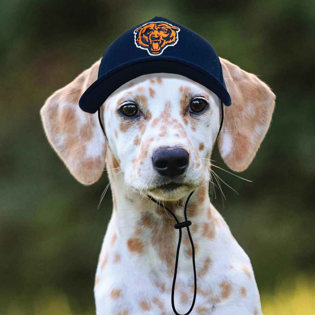 NFL Chicago Bears Dog Hat