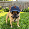 NFL Chicago Bears Dog Hat