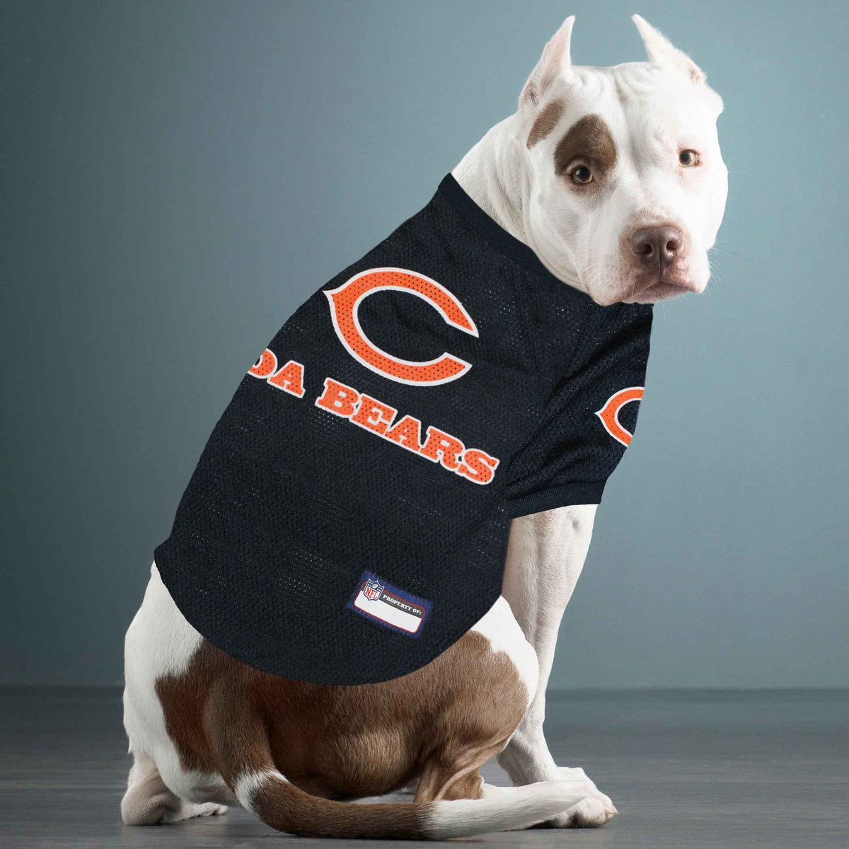 NFL Chicago Bears Raglan Pet Jersey