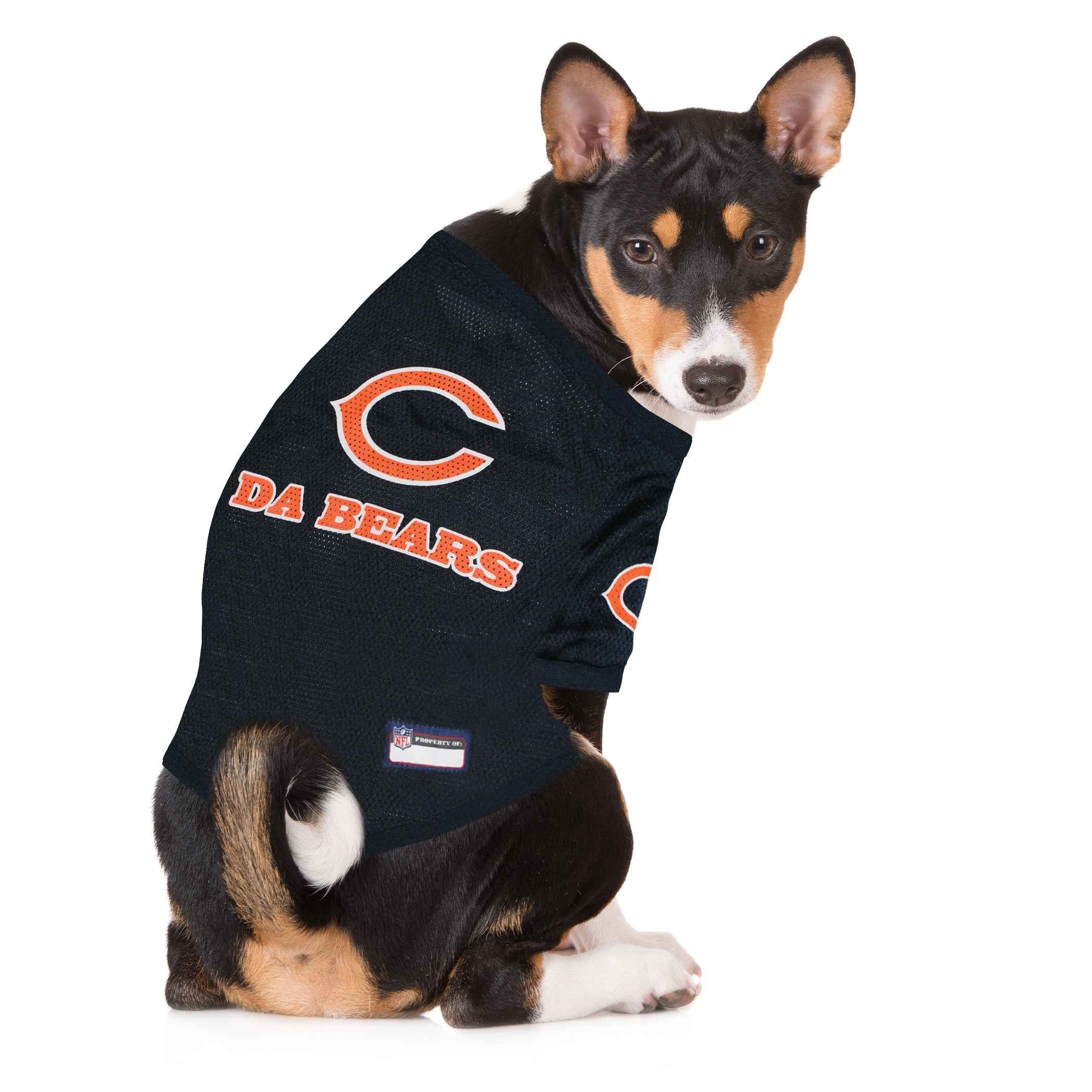 Chicago Bears Raglan Jersey