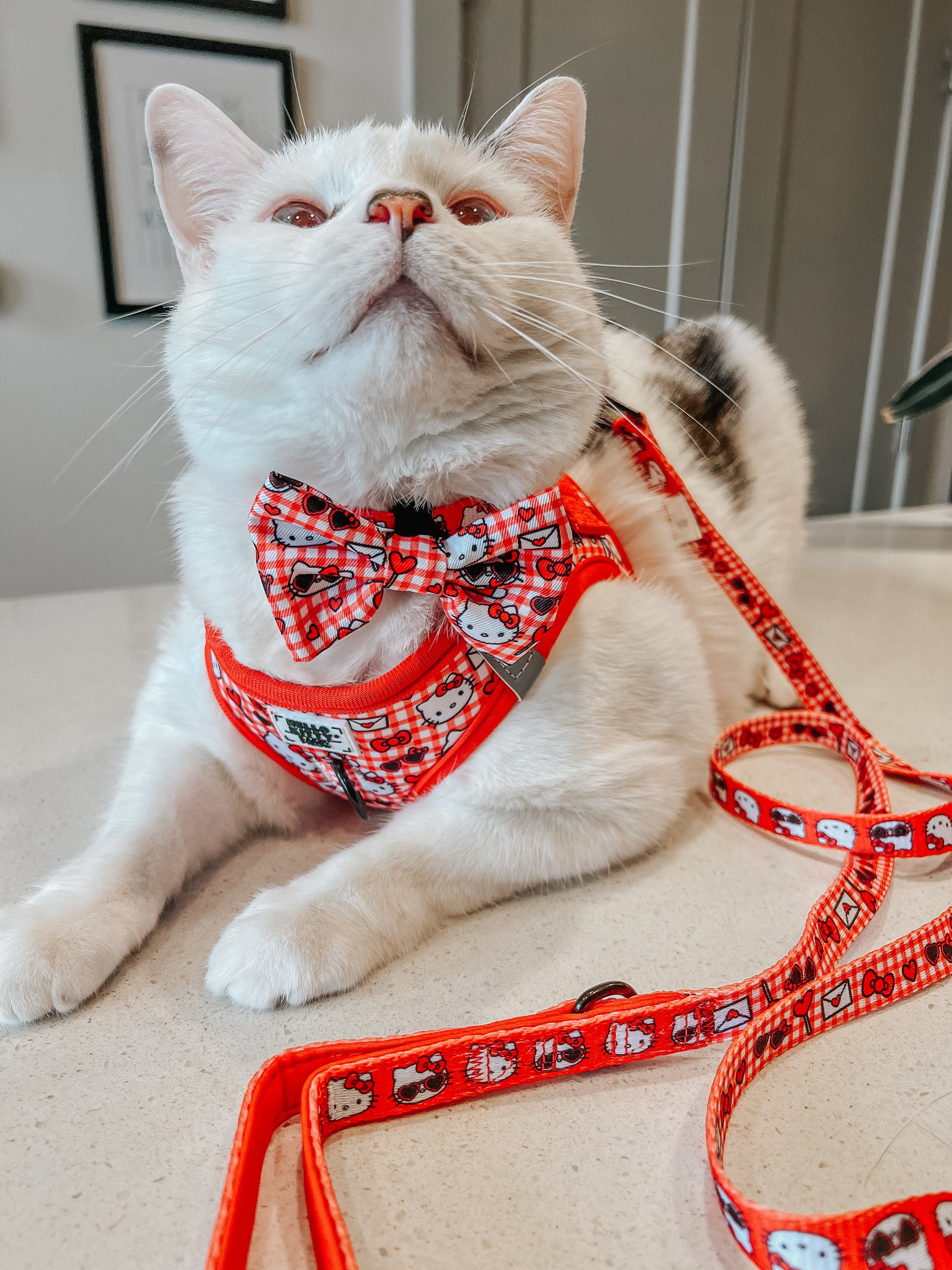 Cat Bundle - Hello Kitty® Red Classic