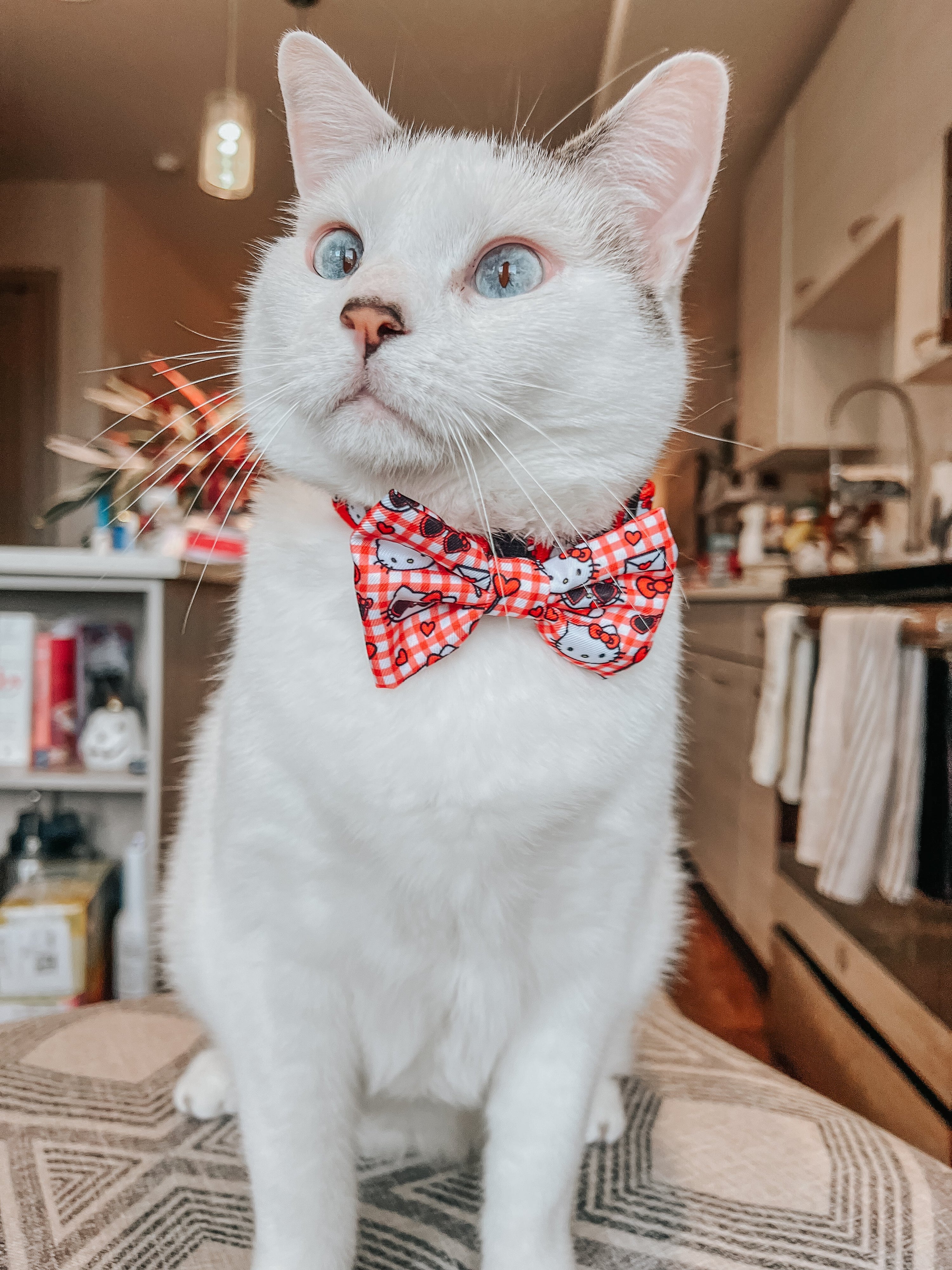 Cat Bowtie - Hello Kitty® Red Classic