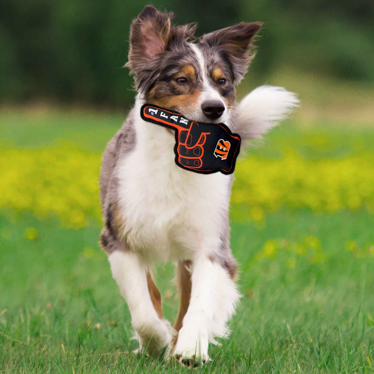 Cincinnati Bengals #1 Fan Toy