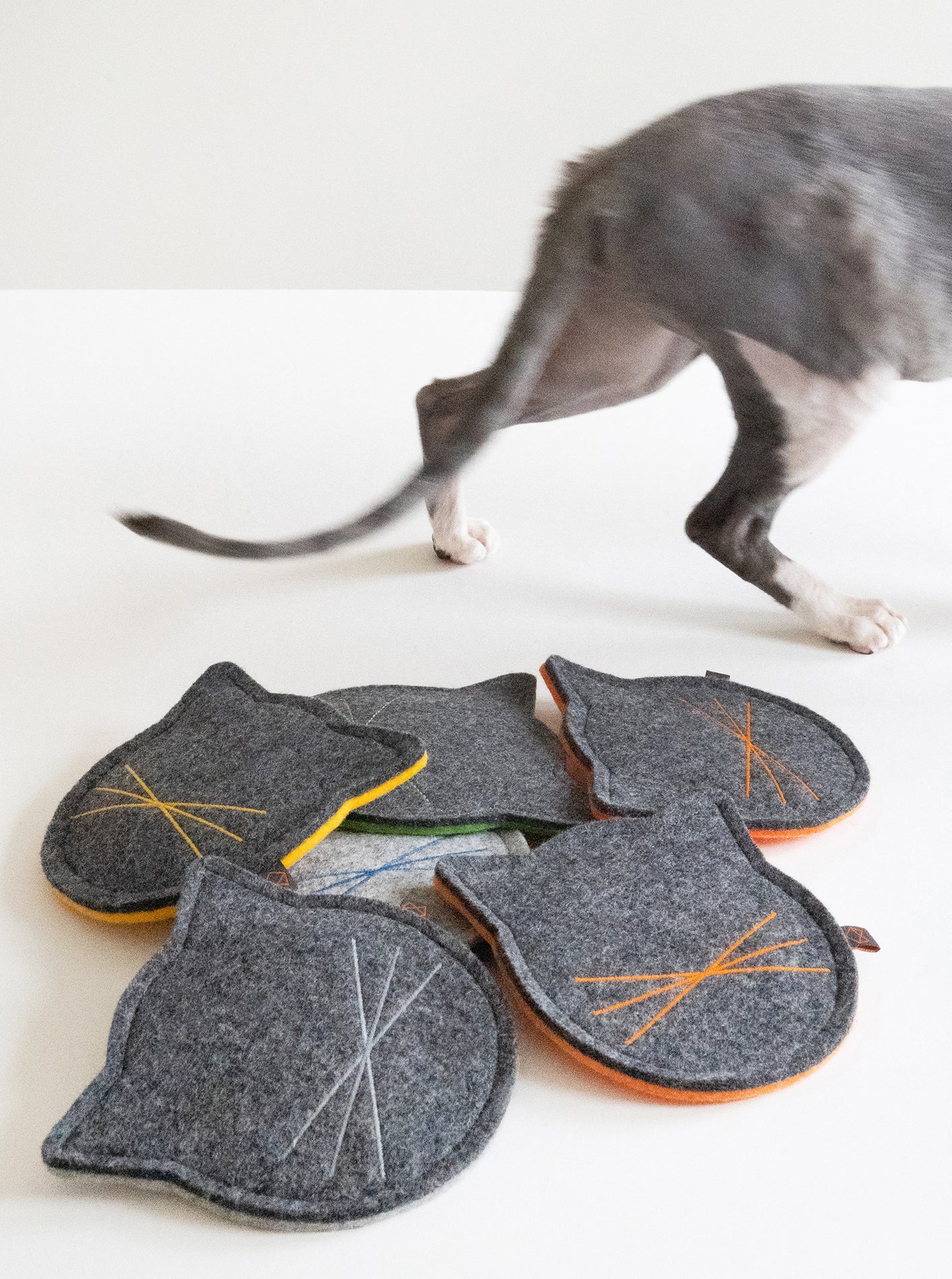 CITY CAT - HT Animal Supply