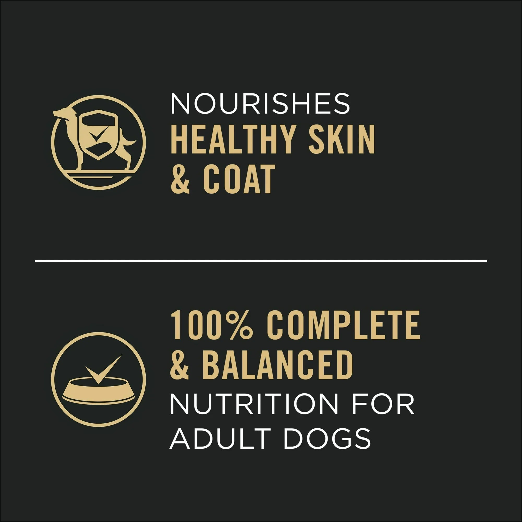 Pro Plan Complete Essentials Adult Chicken & Rice Entre Classic Wet Dog Food (13oz)
