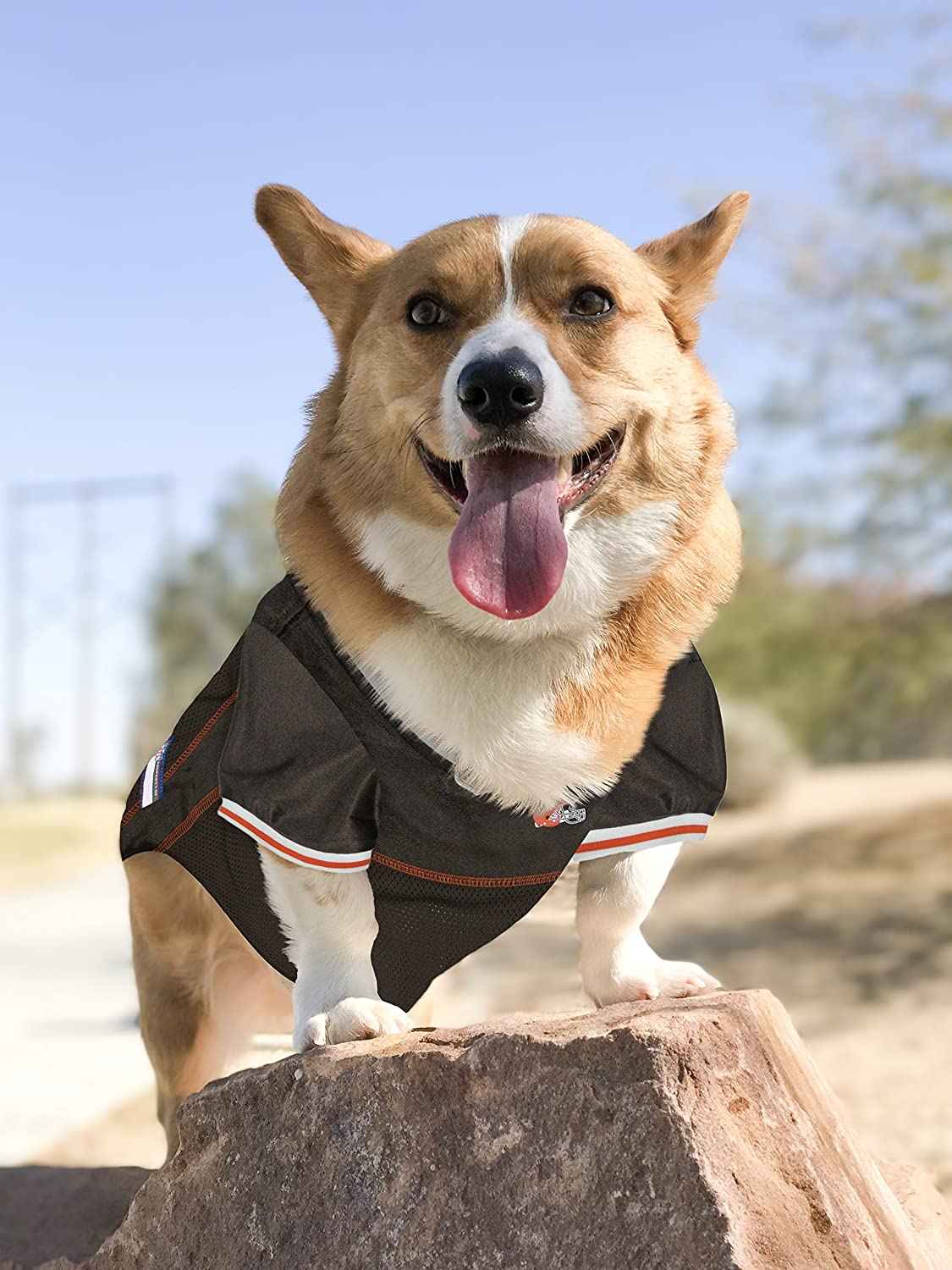 NFL Cleveland Browns Mesh Pet Jersey