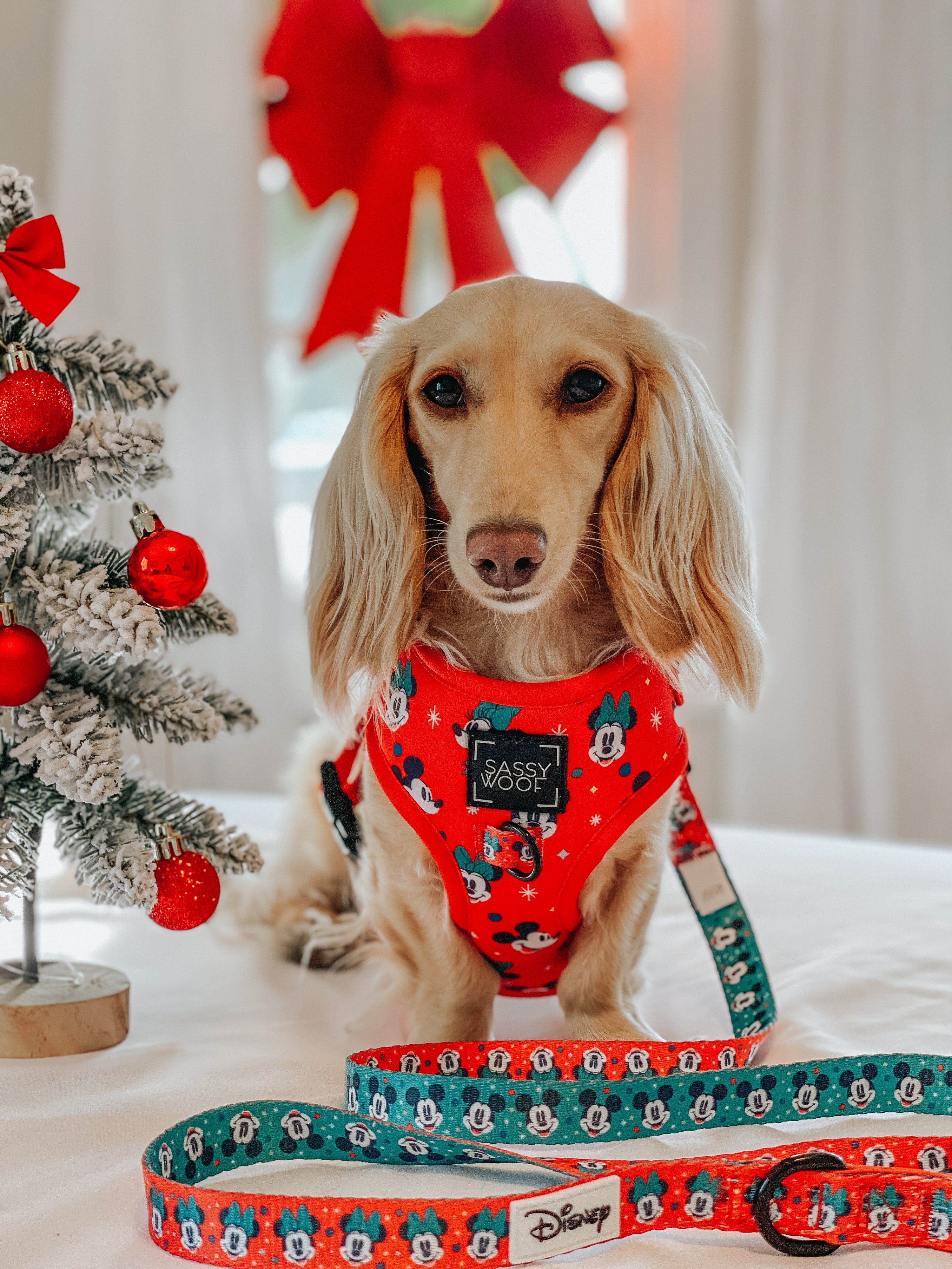Dog Leash - Disney Holiday Collection