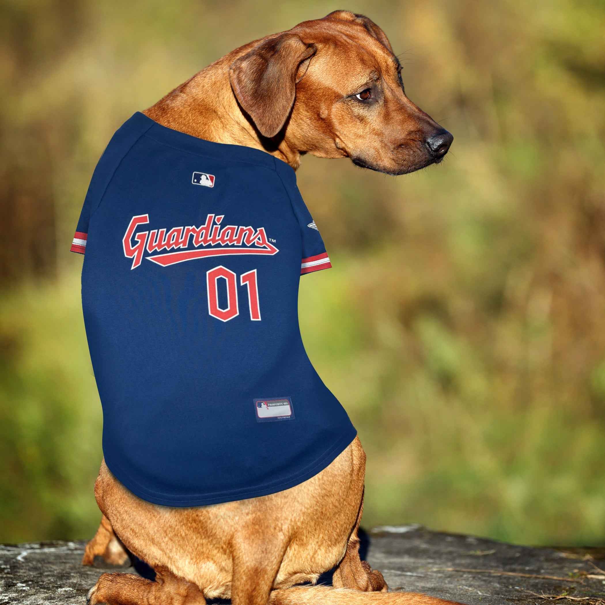 MLB Cleveland Guardians Mesh Pet Jersey
