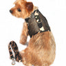 Cool Mesh Dog Harness with Leash - Camouflage