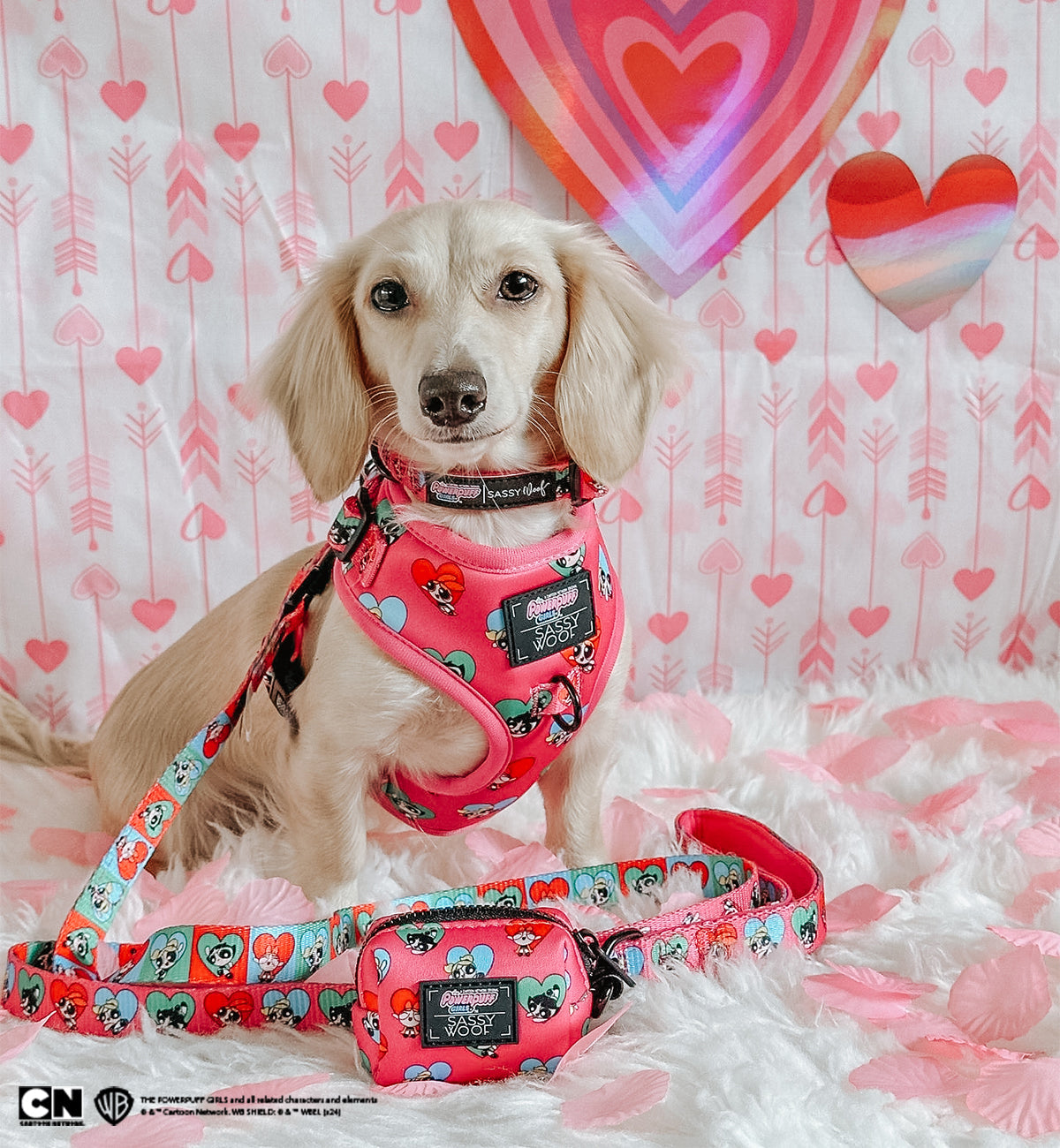 Dog Adjustable Harness - The Powerpuff Girls™ (Love)