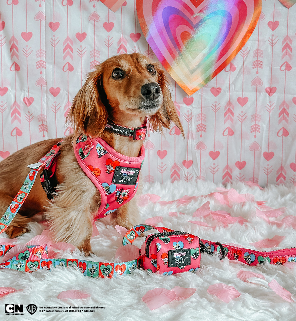 Dog Collar - The Powerpuff Girls™ (Love)